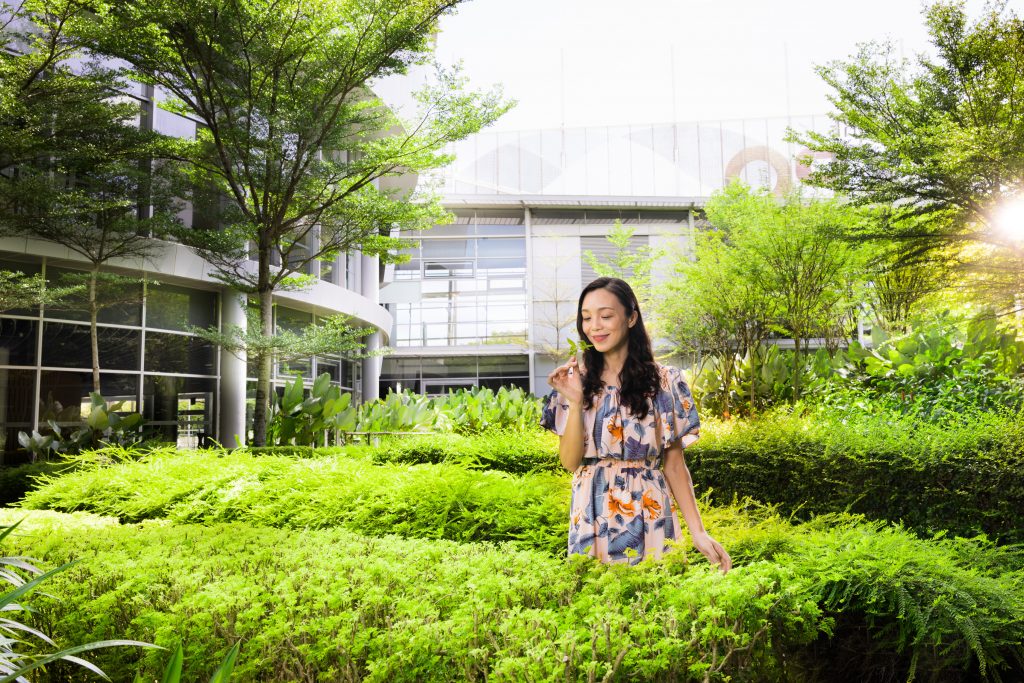 9 EXPO Herb Garden